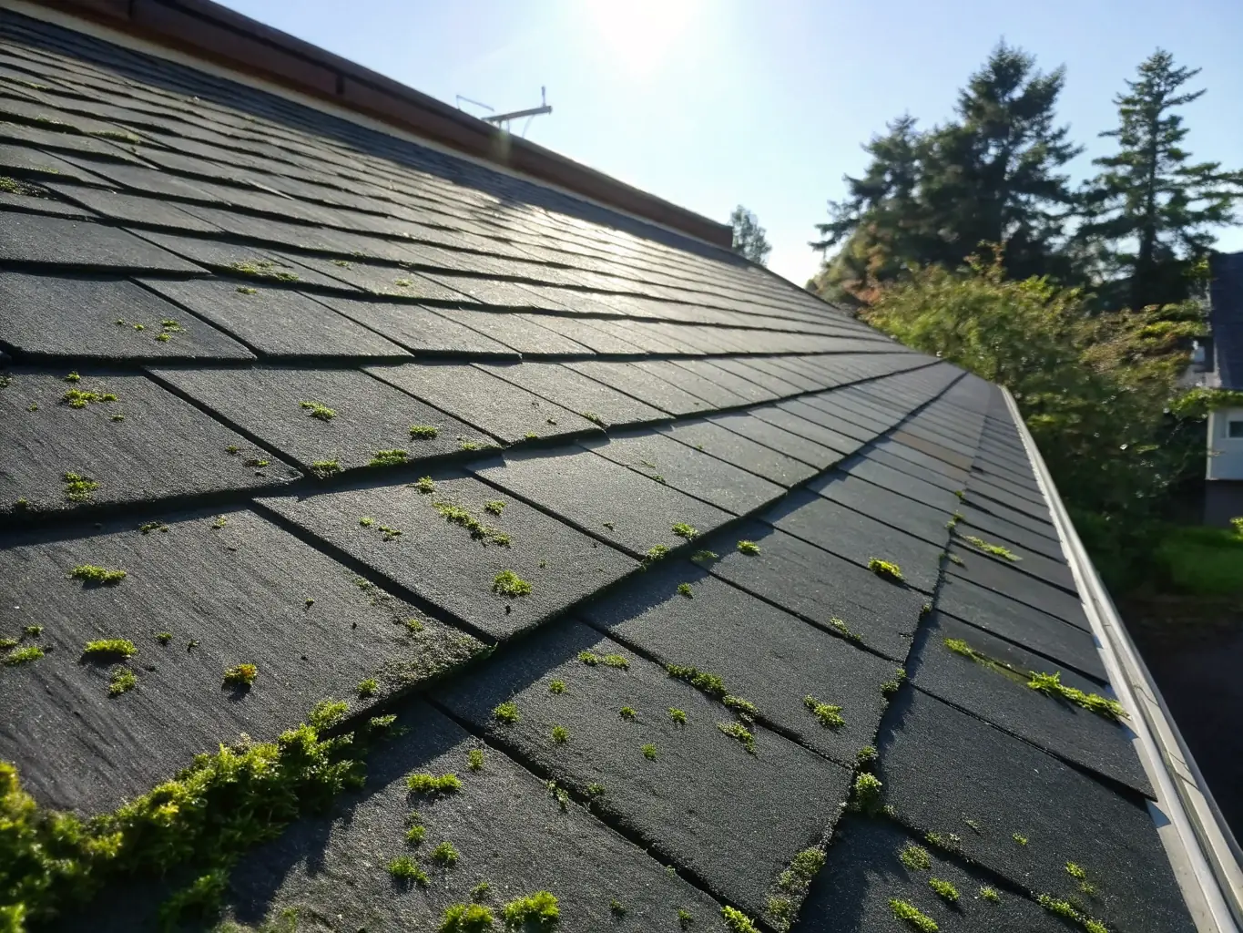 A well-maintained roof on a residential home, showcasing the quality and durability of roofing services provided by Dreamery Home Improvement.